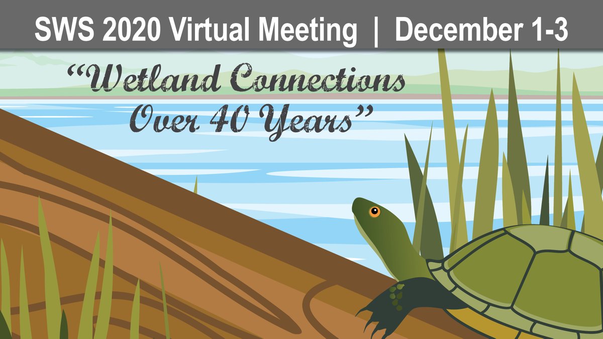 SWS_org's tweet photo. The SWS 2020 Virtual Meeting opens tomorrow!
https://t.co/UTnEI8vmtC
The program includes a wide variety of wetland science presentations from around the globe, with live and on-demand symposia and lightning talks. #SWS #SWSVirtualMeeting #Wetlands #WetlandScience #MudTurtle https://t.co/1pydvbRP5Z