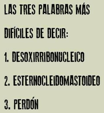CoreCoachingSer's tweet photo. RefleXiónate...
#pensamientos #pensamientospoderosos #aprendizaje #gratitud #ideascreativas #sueños #30noviembre #30Nov #30Nov2020 #upmexico #cuarentena #hoyaprendi #hoy #ReflexionDelDia #caracter #vida #creencias #Lunes #Lunesde #Respeto #BuenosDias #FelizLunes #HoyTeCuentoQue https://t.co/wiZy8c9ZIX
