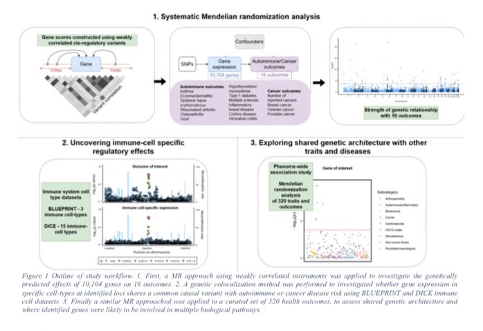 GWAS_lit's tweet photo. An integrative multi-omics analysis of 16 autoimmune diseases and cancer outcomes highlights immune-cell regulatory mechanisms and shared genetic architecture https://t.co/1GoHXak2Bs https://t.co/FcY83jGErN