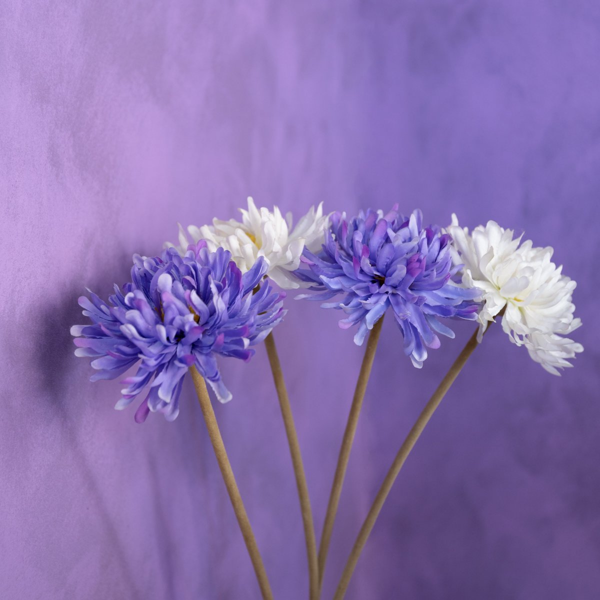 Celebrate your events with the most beautiful flower design💜

#corporateevents #corporatemeetings #businessmeeting #nationaltour #grace.events #graceeventprod