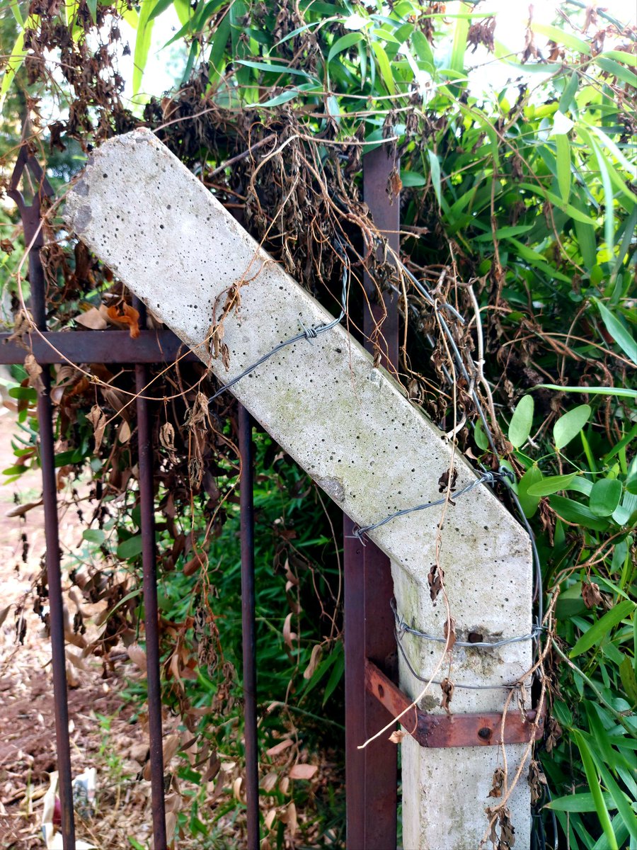 DutraTweeters's tweet photo. #pedaçosdarealidade #SPiCollective #streetphotography #rawphotomag
#street_photography #streetmagazine
#spgcaptures #coophshoutout #photowalk #piecesofreality https://t.co/c97V5Z2c5k