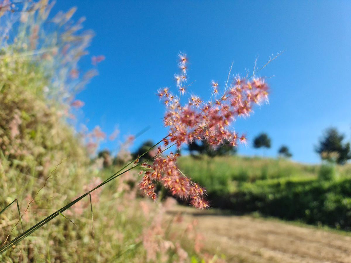 #MN 

ทุกครั้งที่ตื่นตอนเช้า
มีสิ่งหนึ่งที่ต้องทำก่อน
คือ การส่งความปรารถนาดีถึงเธอ
จากตรงนี้ เหมือนเดิมทุกๆวัน   :)