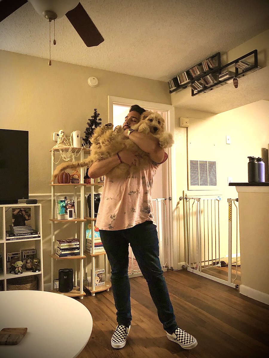 Elivision_'s tweet photo. Life can get a little ruff during Covid. Get a dog, or a friend with a dog in this case 😅🐶 #GoldenDoodle #Charlie #FuckCovid #FuckRona #IMissSocializing https://t.co/MftCvytUNf