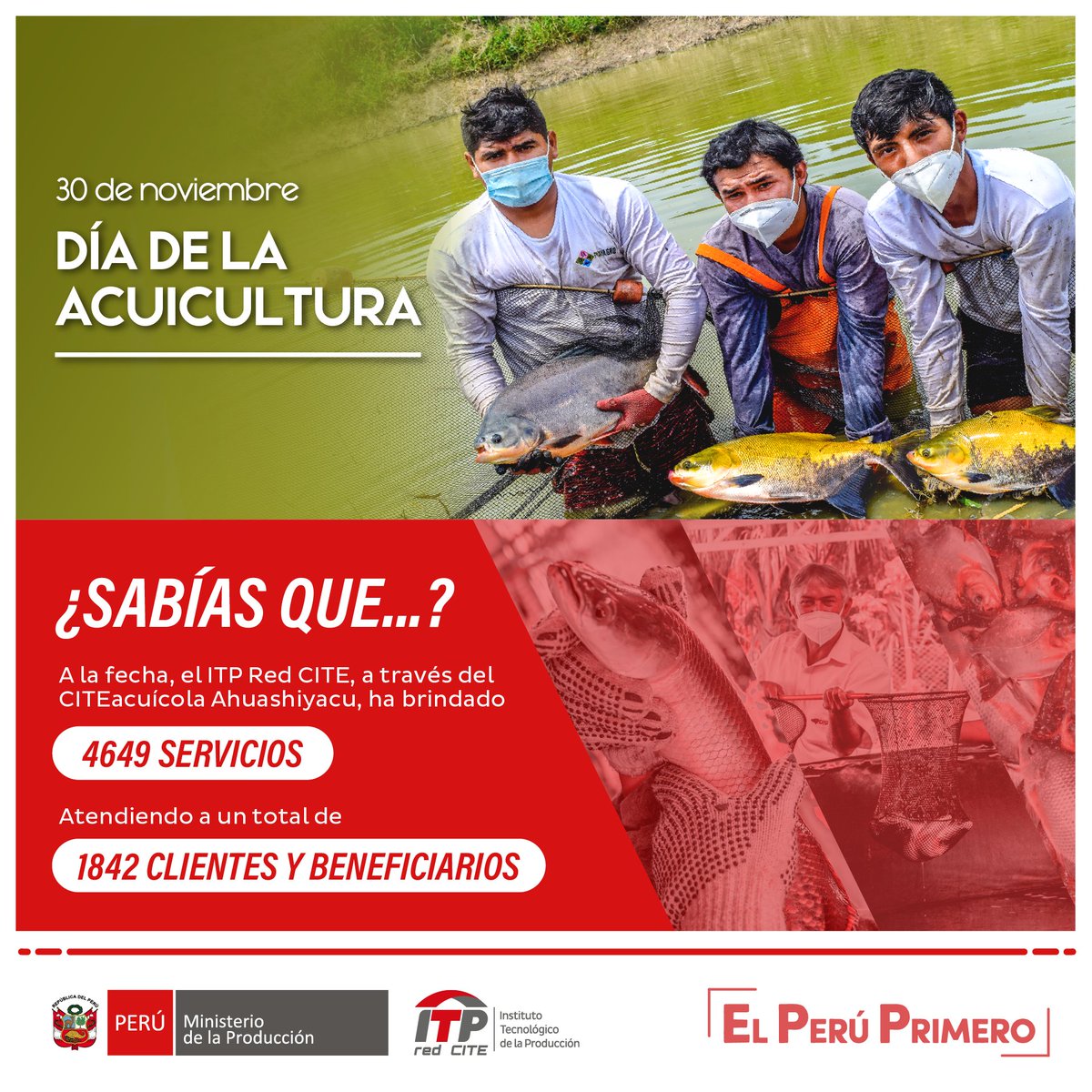 ITPproduccion's tweet photo. 🐟 Hoy, desde el ITP #RedCITE conmemoramos el #DíaDeLaAcuicultura reafirmando nuestro compromiso de seguir brindando servicios de asistencia técnica, capacitaciones, información tecnológica especializada y promoción de I+D+i en el eslabón productivo de la cadena acuícola. https://t.co/ez13zYbmx8