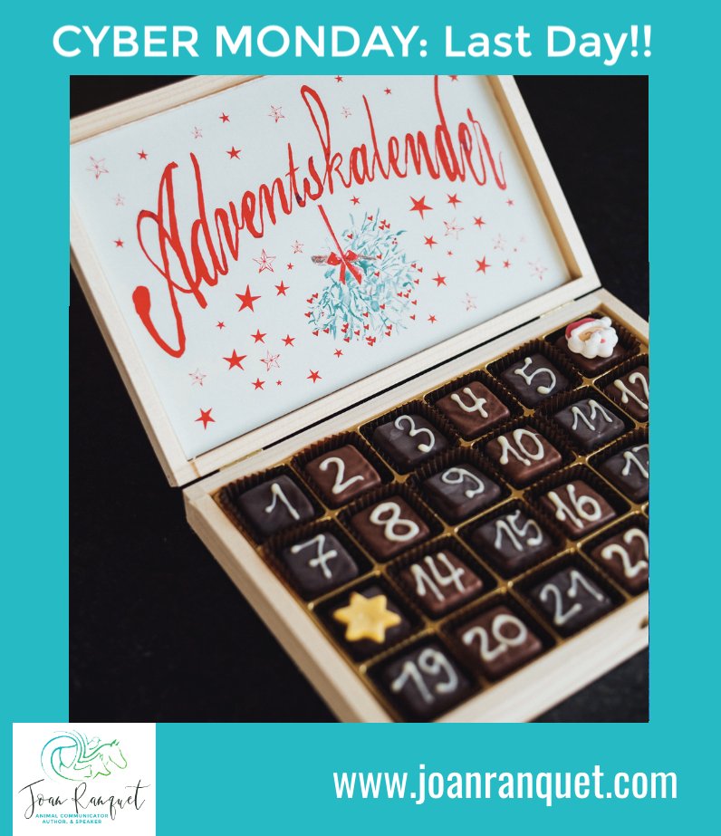 We’ve been talking about it, you’ve been asking for it, NOW you can order it! Three of our most popular digital courses are available as a “Healing Bundle” for just $333 starting today and continuing through #CyberMonday. Click here to order right now. joanranquet.com/product/the-he…