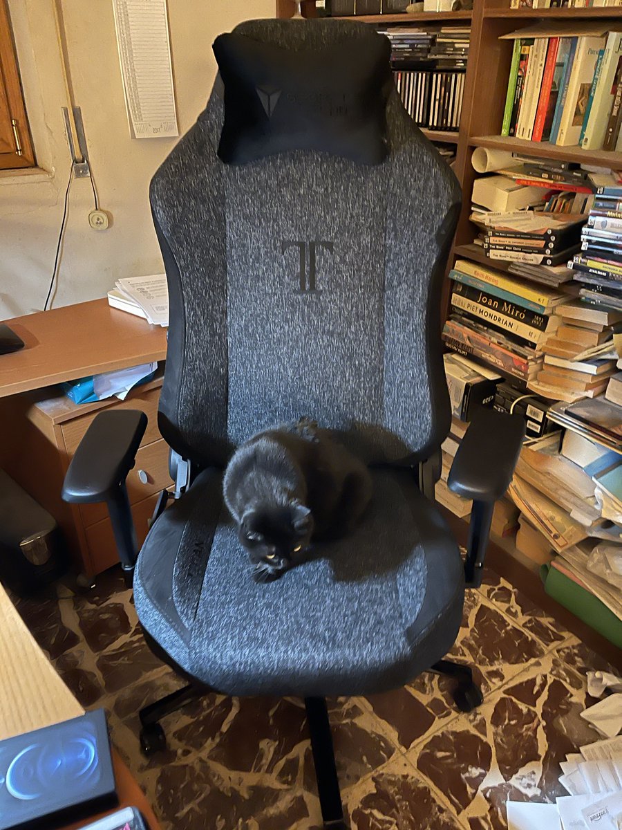At long last, my new <a href="/secretlabchairs/">Secretlab</a> Titan XL is bere… and someone already claimed it. #Secretlab