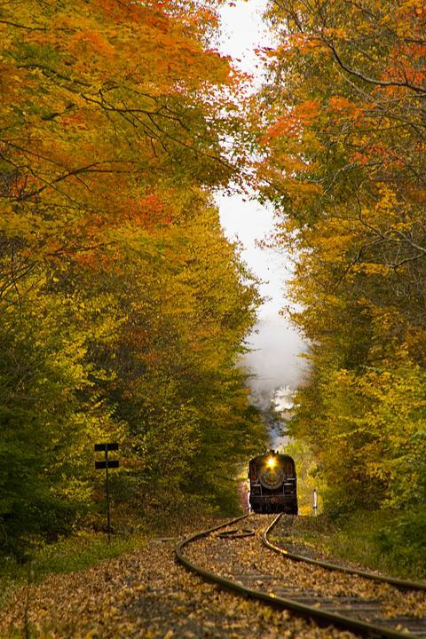 samsaracorp's tweet photo. Autumn Railroad, Middlesex, Connecticutt #AutumnRailroad #Middlesex #Connecticutt https://t.co/bZCwk8Q0Q0 https://t.co/MpppwCiD0g