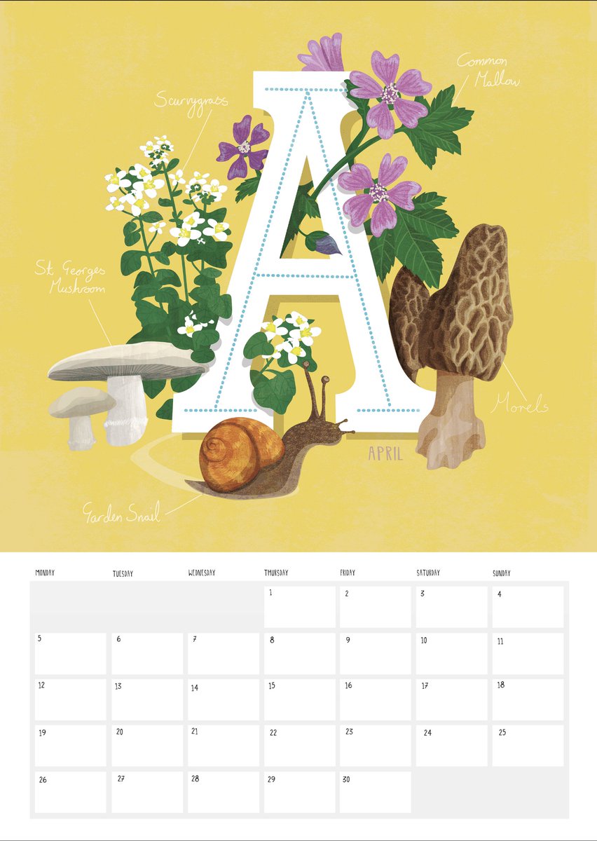 MadeBrockley's tweet photo. New product! 2021 Foraging calendar, beautifully illustrated by @kerryhyndman. Available in A3 or A4 at https://t.co/hAIJ3Yd24o   #supportlocal #brockley #calendar2021 https://t.co/ee7JY4OJIM