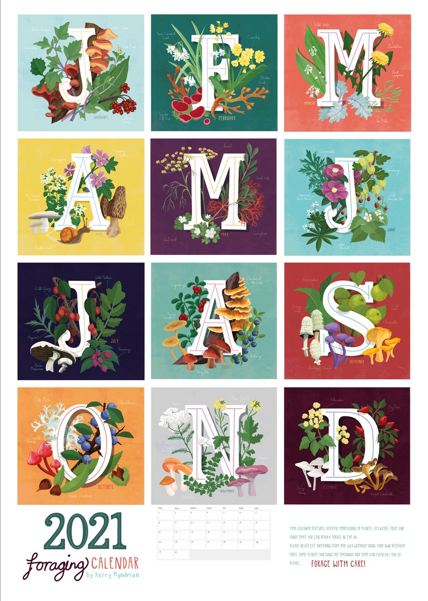 New product! 2021 Foraging calendar, beautifully illustrated by <a href="/kerryhyndman/">Kerry Hyndman</a>. Available in A3 or A4 at bit.ly/2VhhgE7   #supportlocal #brockley #calendar2021