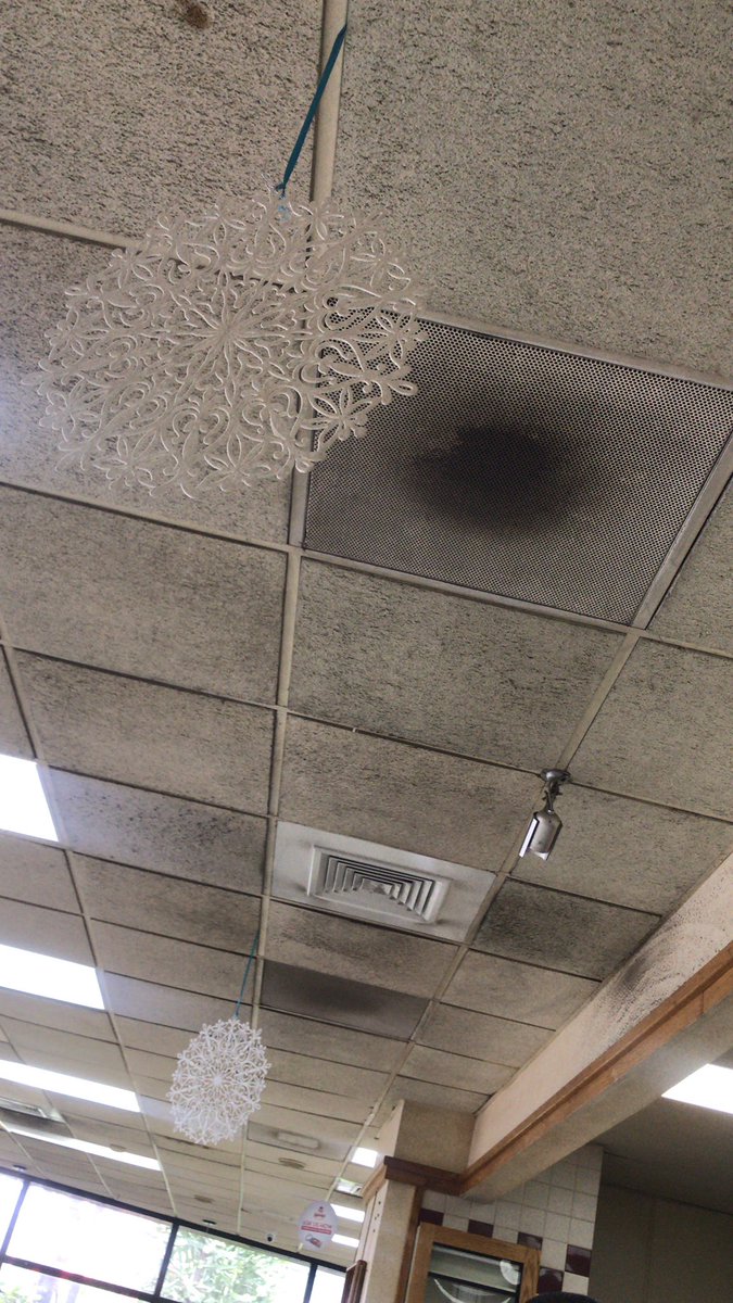 Princess_Khandy's tweet photo. If I was @Wendys I’d take down these snow flakes!! Been coming to this Liguanea location for a while n I’ve never looked up until I saw the flakes hanging. To how the ceiling is a mess I wouldn’t draw attention to it. 🤦🏾‍♀️ https://t.co/zhlGIGpjX1