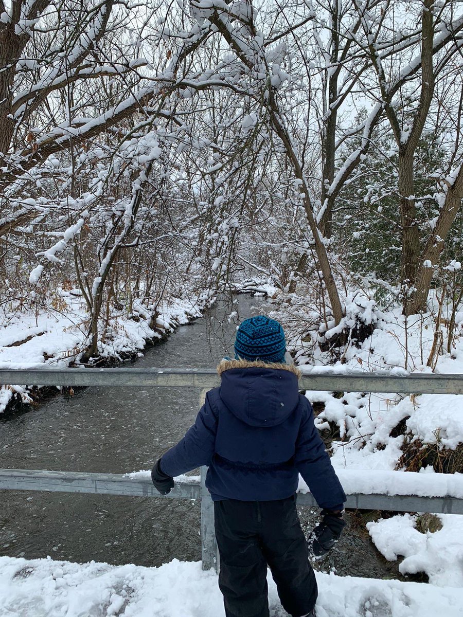 SharmaTDSB's tweet photo. The Ss were super excited to play in the snow last week . We walked to the ravine and explored winter in the forest. We were ‘wowed’ by it’s beauty and even got to see a deer ! @DarleneJones96 @ShorehamPSW @EmmanuelP_1 @LC2_TDSB https://t.co/hli2pTUfAS