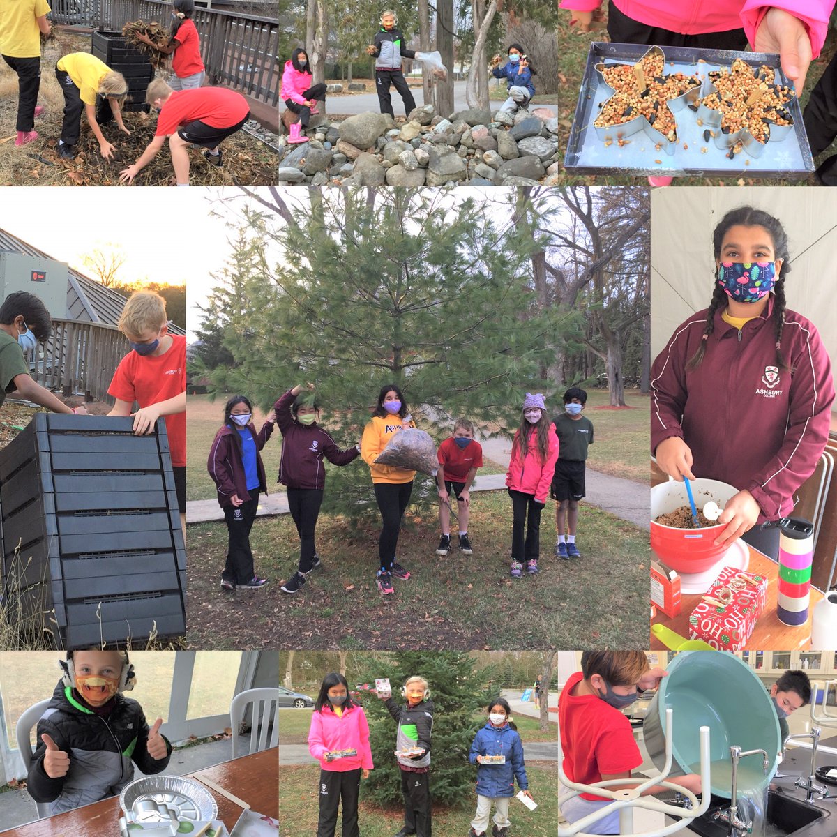 Our Junior School Environmental Club has been busy! Students have recently learned how to make birdseed ornaments and about composting on the green roof, and prepped grow towers for the first vegetables to be grown this year. Great work!