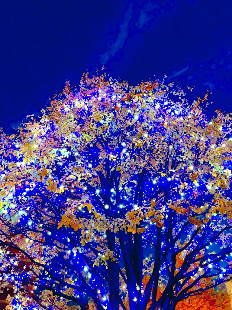 swrt1027's tweet photo. #FinallyDecember โ๏ธโ๏ธโจ
#Christmasillumination ๐๐๐๐ https://t.co/JkIDcsw8MF