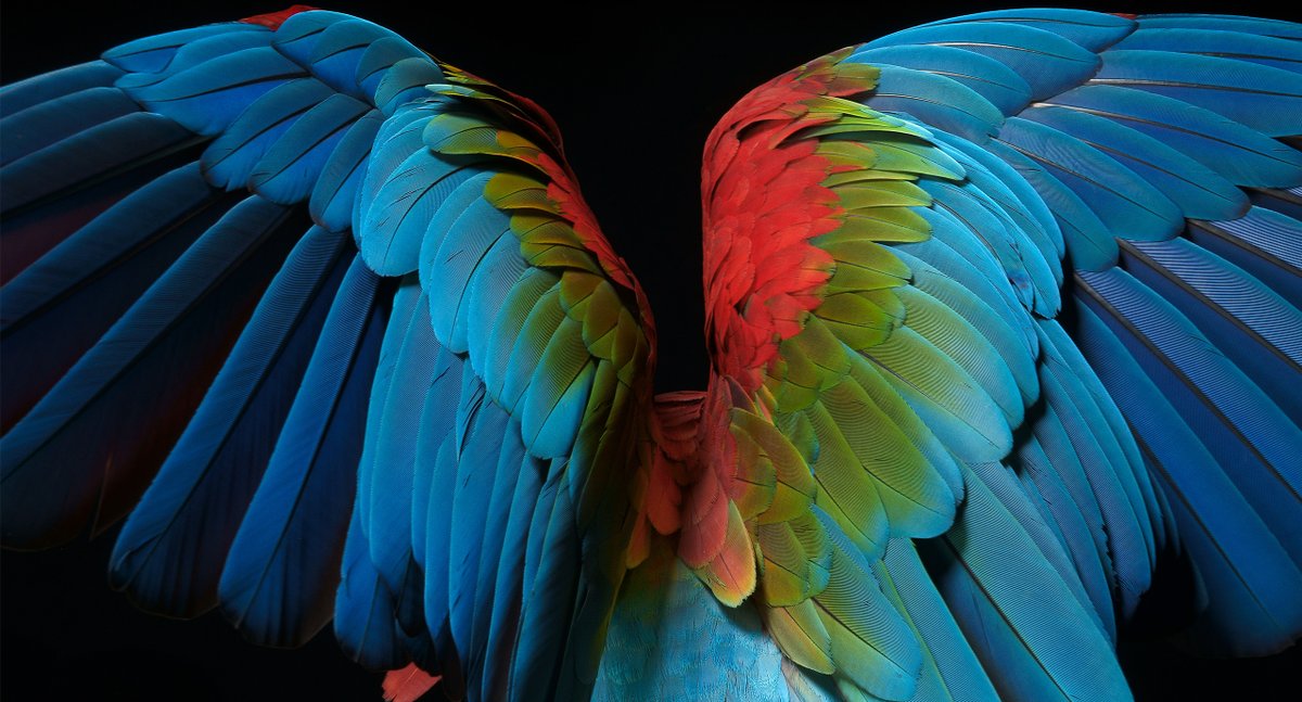 sullivannyc's tweet photo. Insight Partners came to Sullivan to stand out to ScaleUp CEOs with a brand platform as unique as their investment approach. Read on to see the transformative rebrand. https://t.co/LOicem2gjy https://t.co/dN27l8QDKk