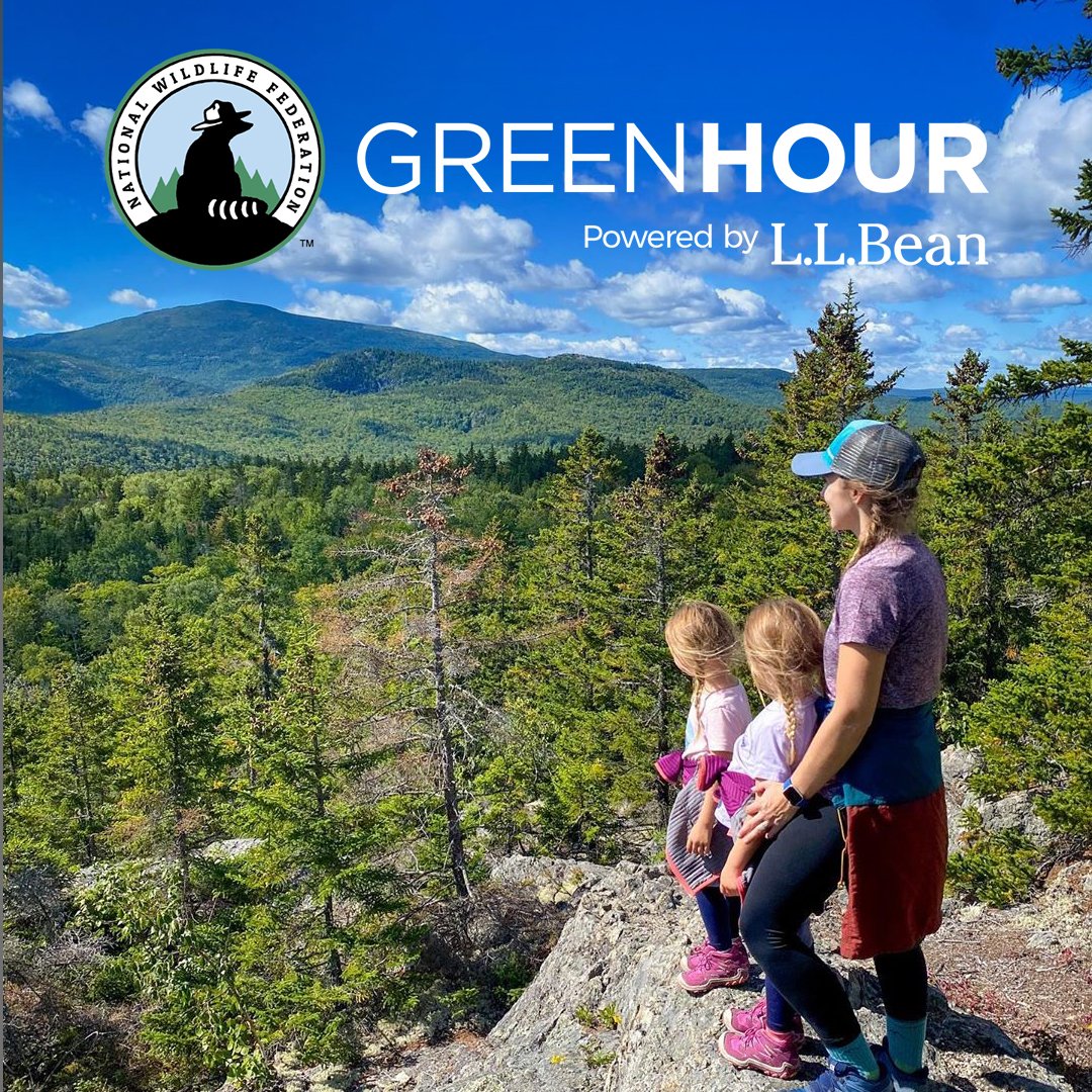 We teamed up with the @NWF to share seasonal activities designed to encourage kids to spend more time outdoors and turn screen time into green time. Check out this week's hiking-focused activities: bit.ly/3pMvPgJ (📷: Instagram's devinhmills)