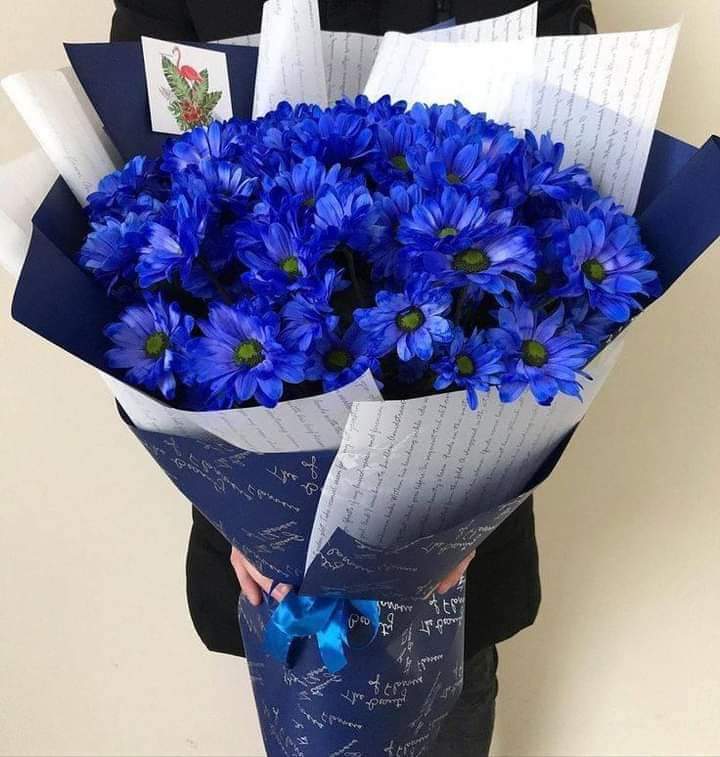 Menataha99's tweet photo. 💙The perfect blue!💙 https://t.co/HA9Vex1LFt