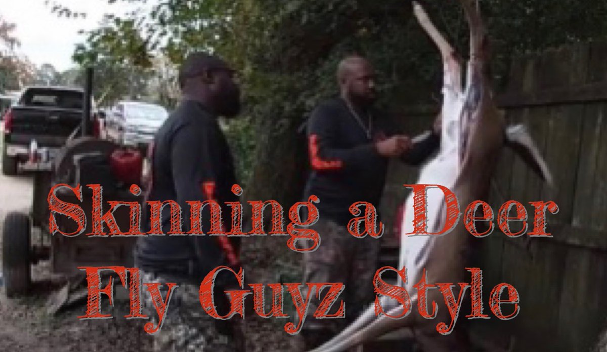 Fly Guyz tweet media