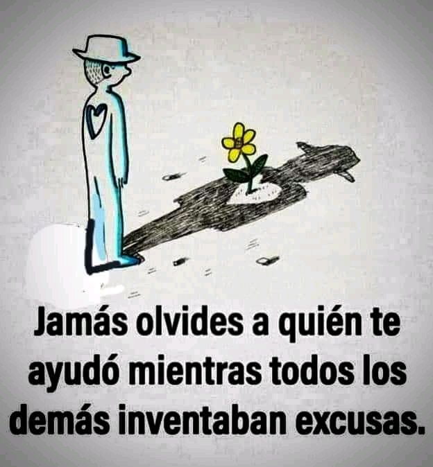 Yoli tweet media