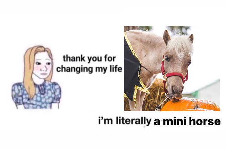 It me. And y’all tbh lol.