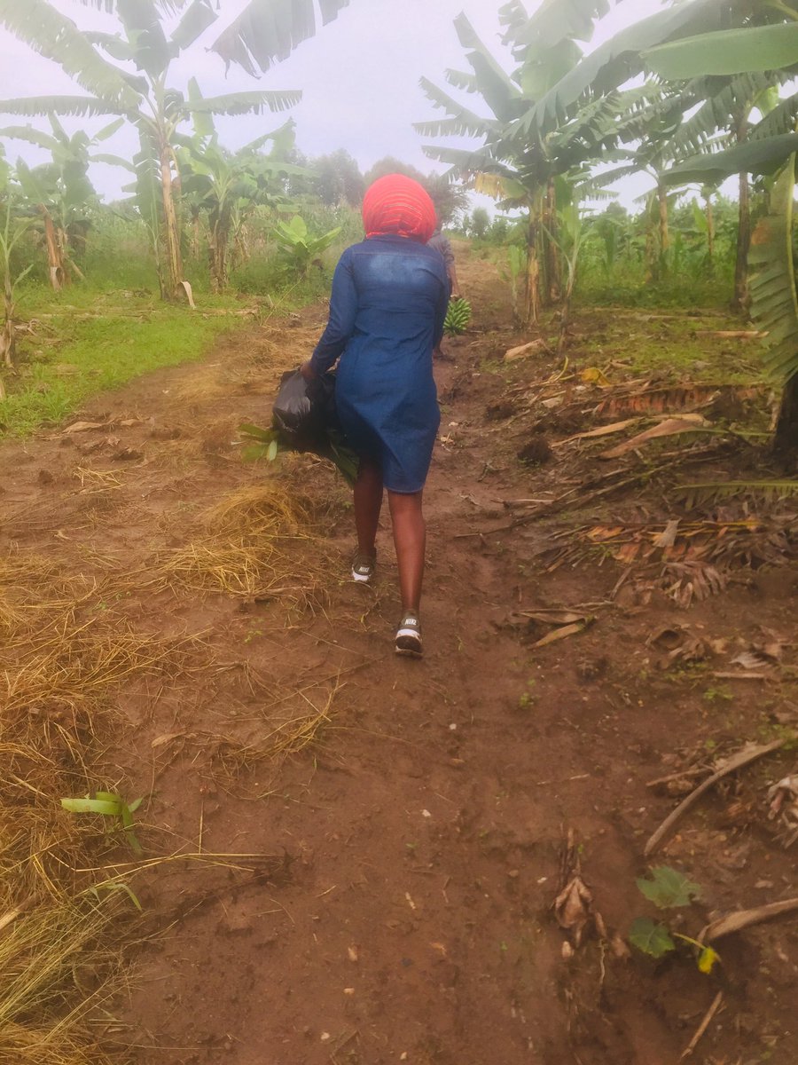dok_tricia's tweet photo. The more you walk away from things that poison your soul,the healthier you will be  @_James_Ocen @AloysTalona @JonanTea @carter_marvok @lazmasaba https://t.co/d9bKeZK1CR
