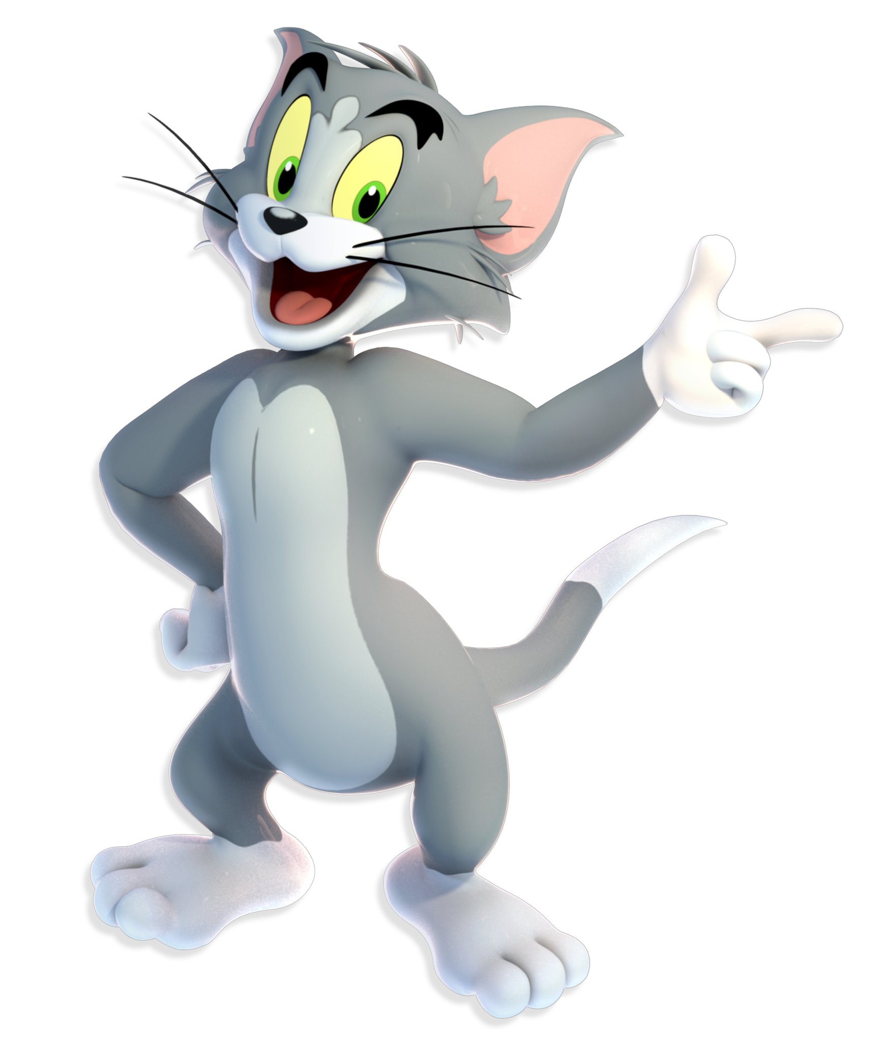 Tom Cat