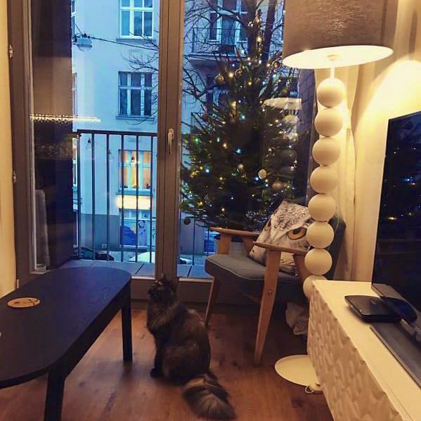 More ways to protect your Christmas trees from cat attack. The second one here isn’t 100% reliable, though.  #CatsHateChristmas