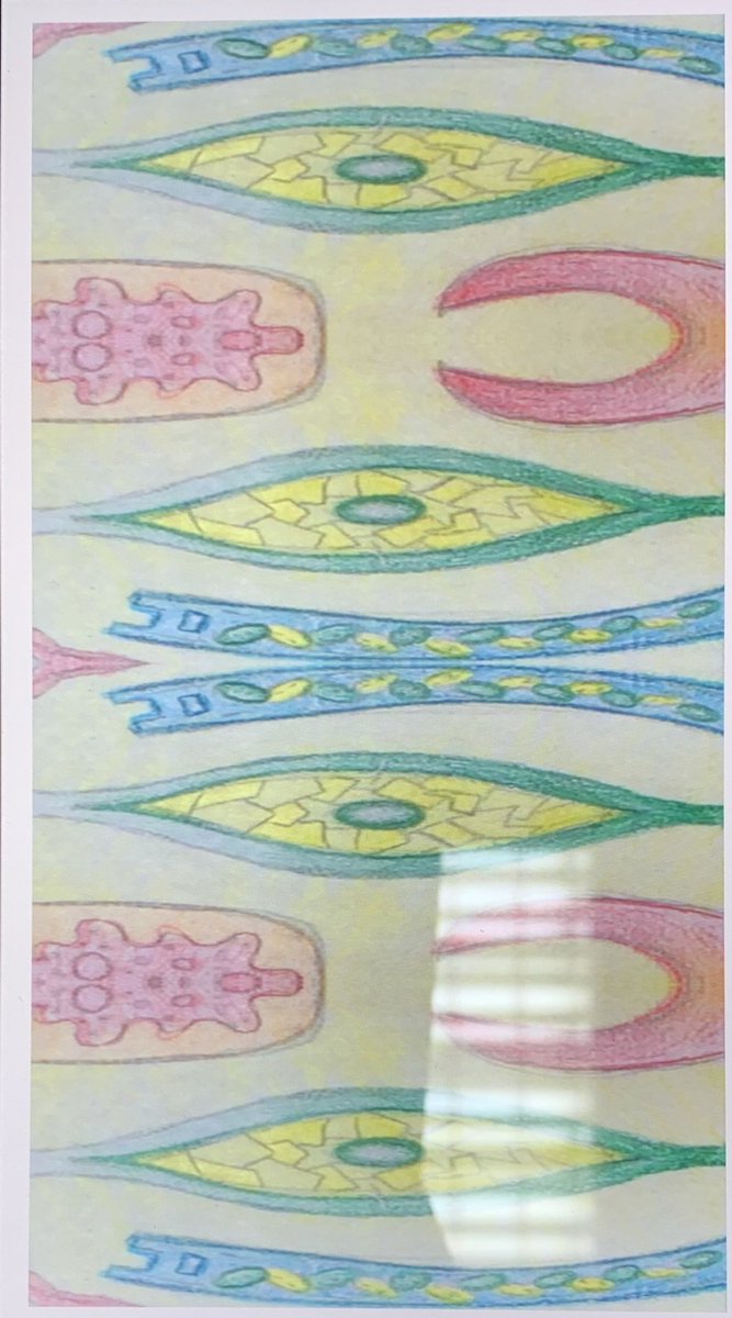 Some fantastic digital textile designs being created by S2 using their iPads. 👏🏻✨