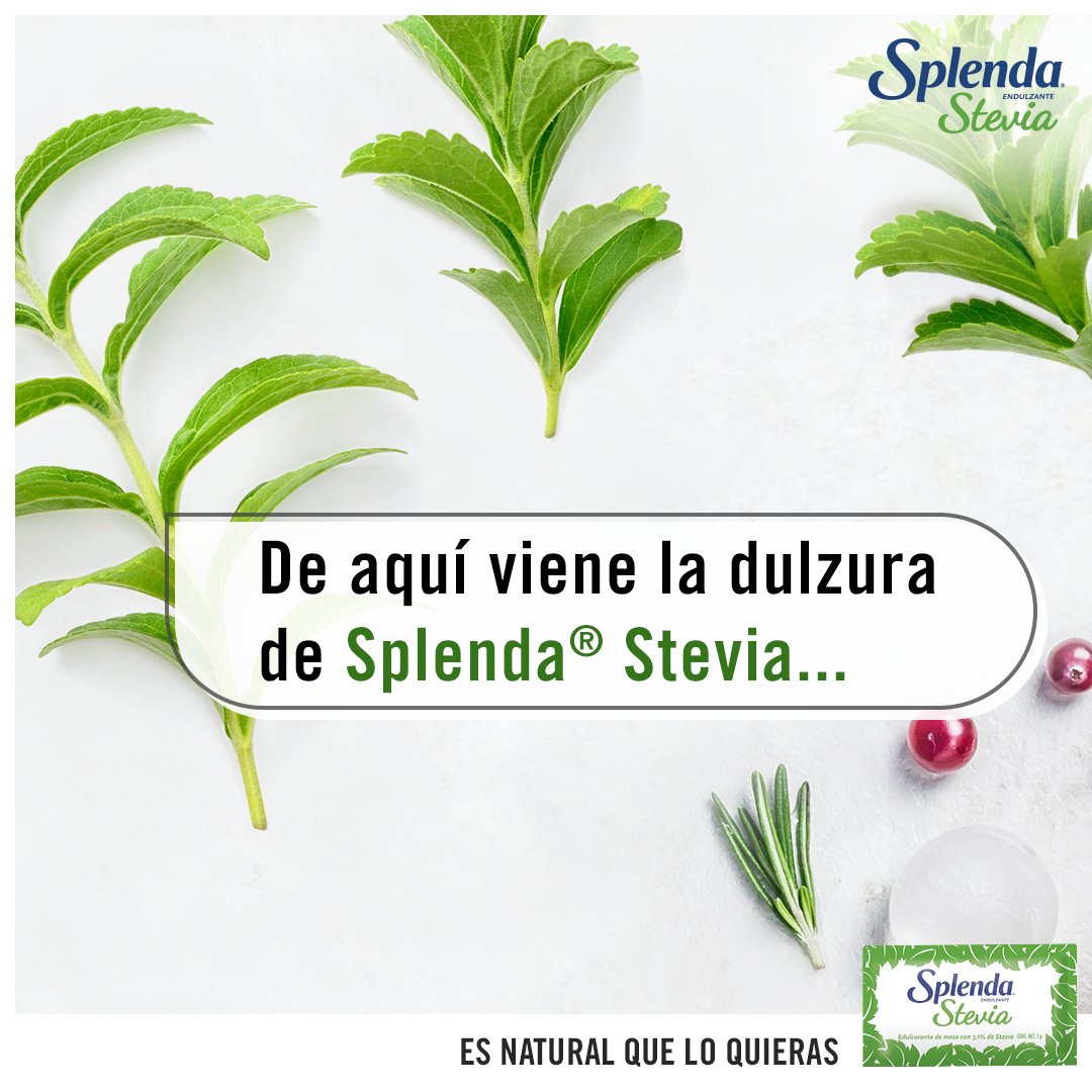 SPLENDALatam's tweet photo. ¡Atención hilo educativo!
👇👇 https://t.co/btCw7AT31k