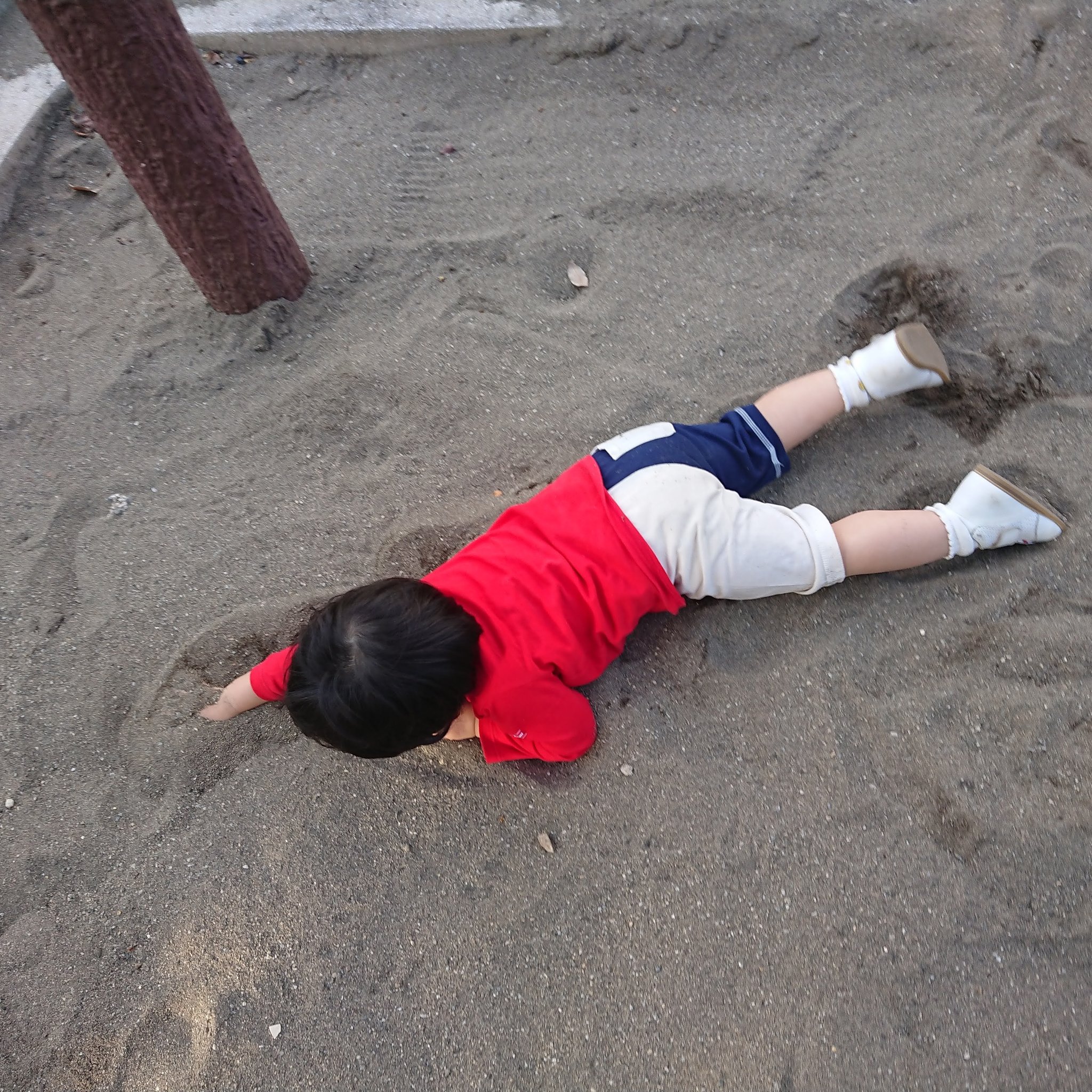 ラッコ抱き Twitter Search Twitter