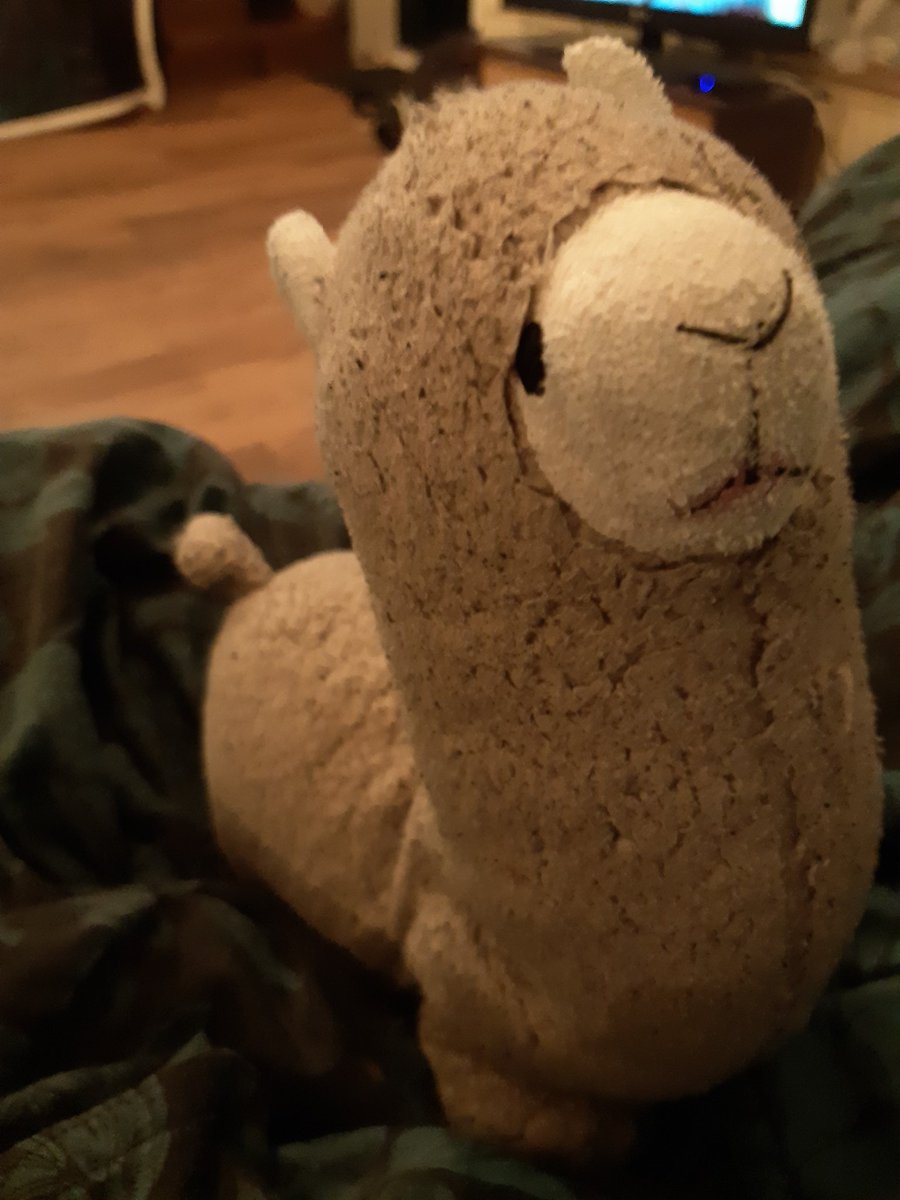 Zal ik mijn alpaca meenemen naar tussen kunst en kitsch om te kijken wat de liefhebber er voorover heeft? https://t.co/7tYRn2OGFa