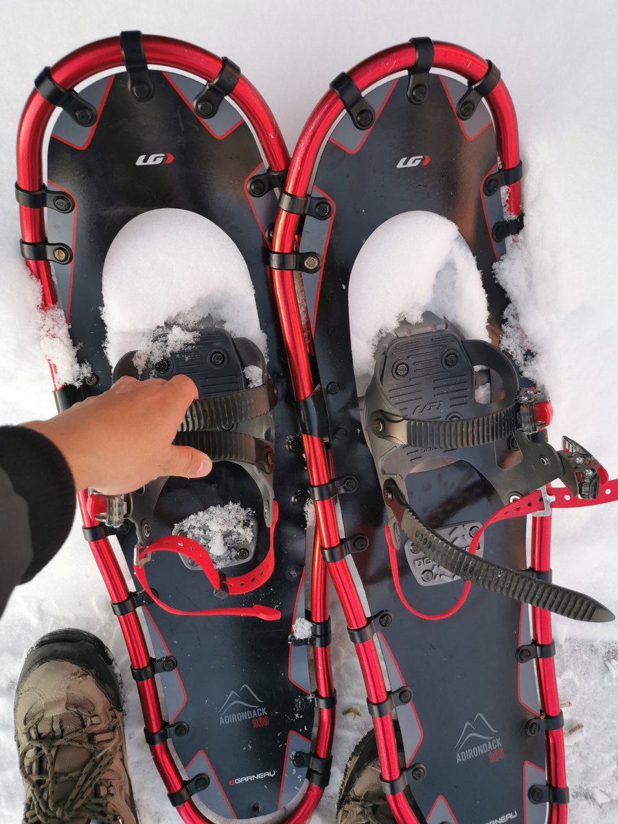 TommyCornell99's tweet photo. It's snow shoe time! 
#NorthLife #North
#SnowShoes #Winter
#Canada #wildlife https://t.co/dCYCloPT9B