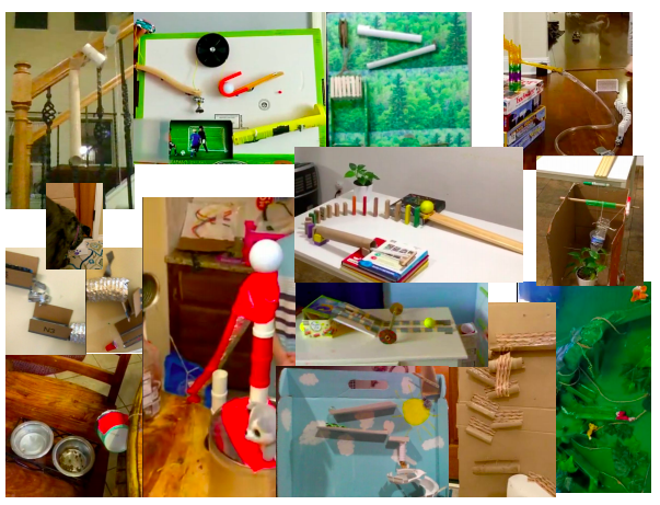 Kellie Lambert tweet media