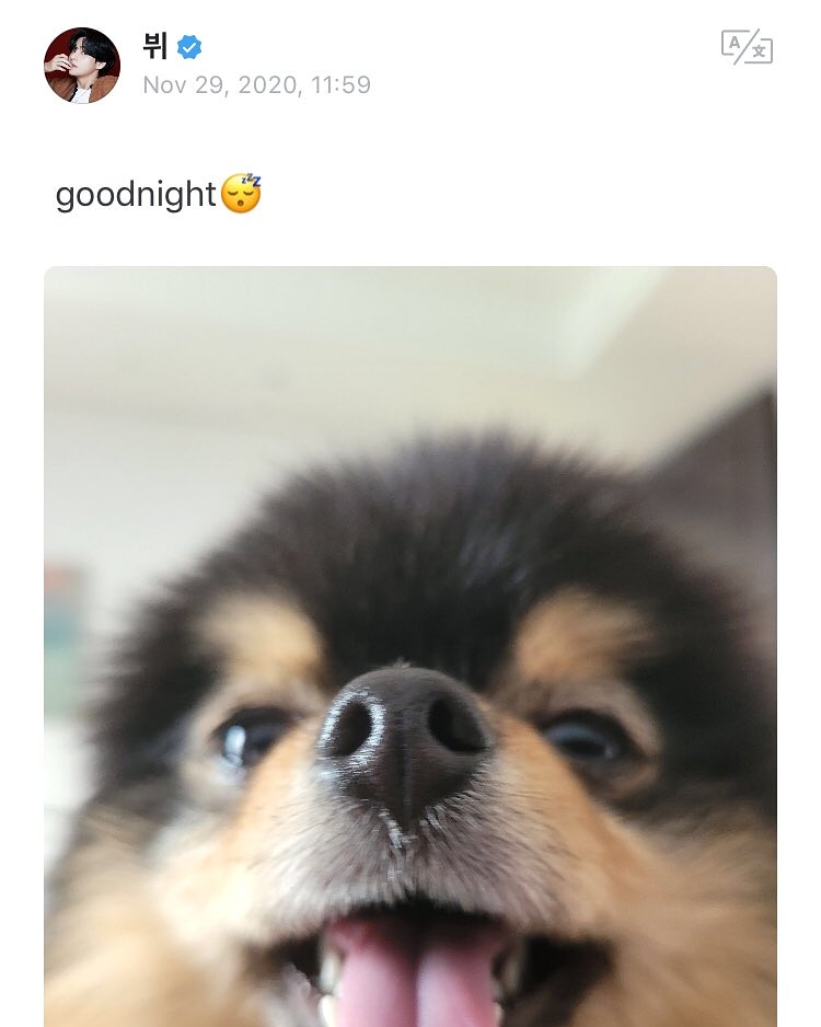 [📸 Foto|201129]  Actualización de Taehyung el dia 29 de noviembre en Weverse

"Buenas noches😴"

Cr.Weverse.
Ren🐯
.
.
.
.
.
.
.
#뷔 #V  #태형 #김태형 #태태  #방탄소년단 #BTS⁠ ⁠⁠#防弾少年団 #Taehyung #KimTaehyung