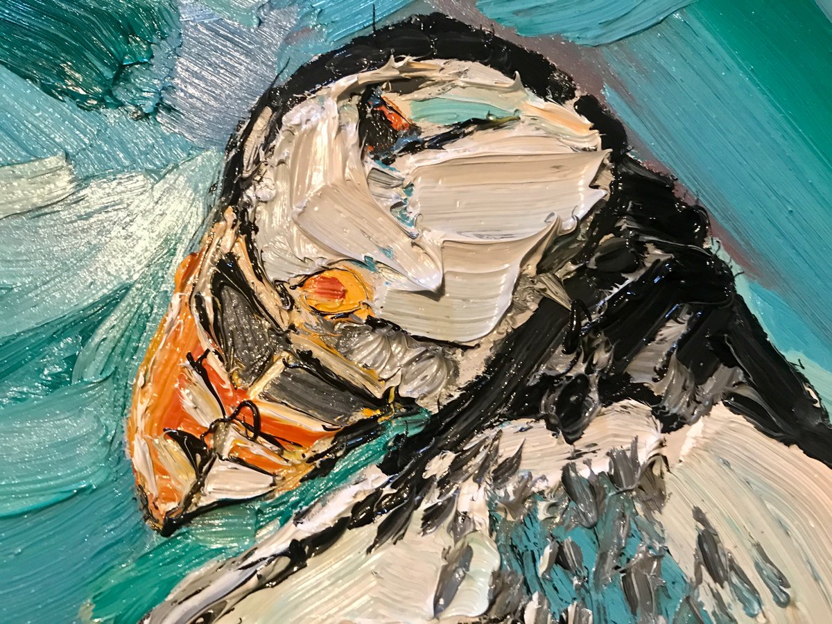 Developing a new range of #oilpaintings based on British Sea Birds #puffin #puffins #artforsale #artistontwitter #art #illustration 
61cm x 42cm oil on board
£200 (Uk delivery included)