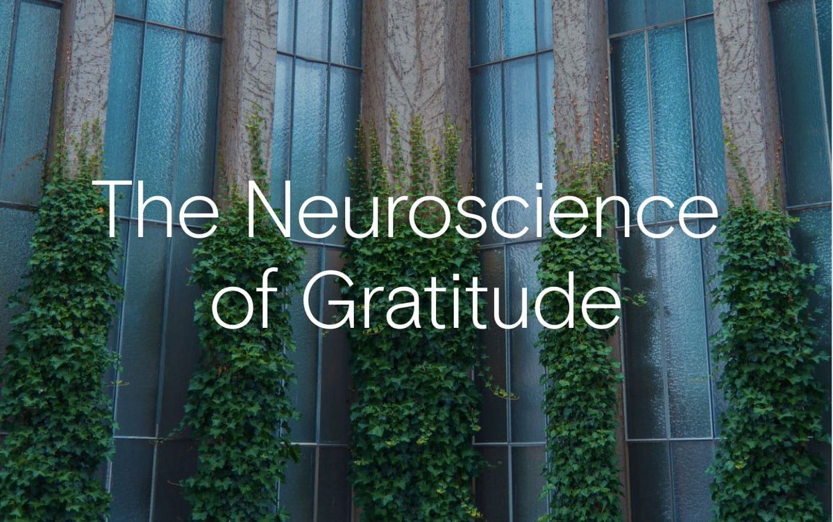 Halelly Azulay tweet media