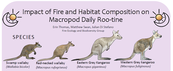 ErinBThomas's tweet photo. If kangaroos, fire, hand-drawn species or puns are your jam, come see my poster and have a chat from 6-7:30pm tonight at #ESAus20 🦘 https://t.co/p50UTDkeGN