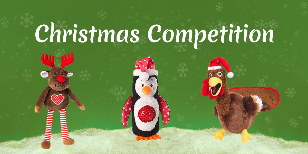 PetShop2Go's tweet photo. Retweet and follow for your chance to #win these festive House of Paws dog toys for #Christmas
. #Competition ends 15/12/20. 
To see our full range of Christmas dog toys, visit https://t.co/orM2ekZ5No https://t.co/ZPkdHhjRx3