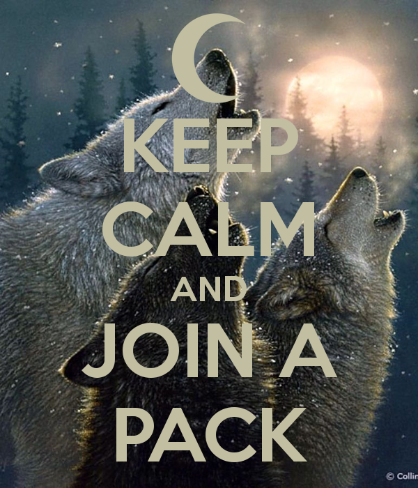 Wolves_UK's tweet photo. We are looking for new members to join our ranks. Mainly on Xbox at the moment. for more info join our discord https://t.co/AWJlnvXwJA, its all new so in progress. follow the rules and hopefully see you there. https://t.co/3seR40pRiC