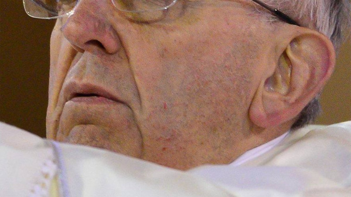 Mayo めいよ tweet media