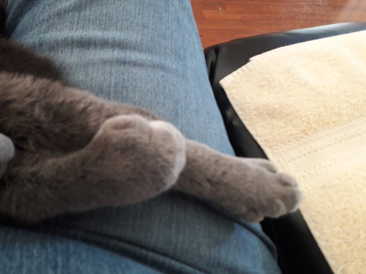 Aww, suwe hewes both me paws!!