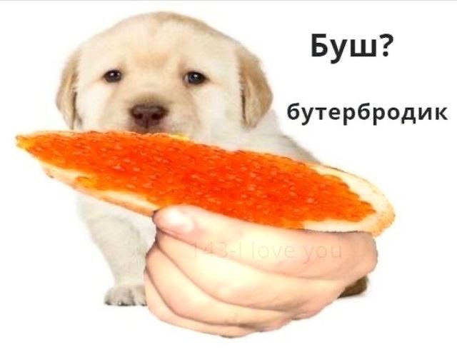 локо грин? грин локо? кто блять? буш? буше? смалинтин куш? кто? 

бутербродик.