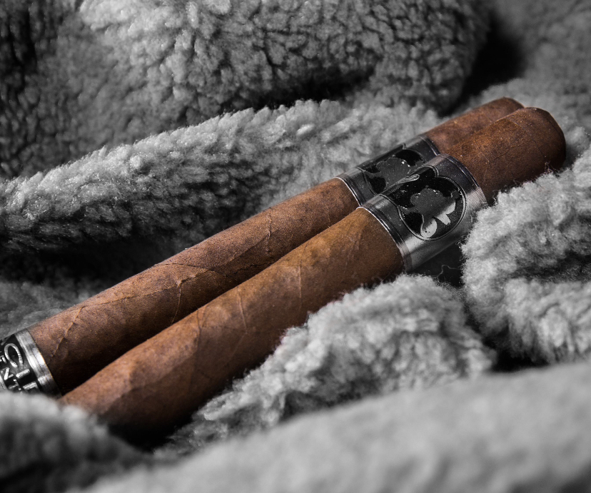 Experience ACID tweet media