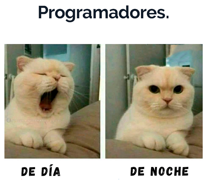 TalexaMX's tweet photo. ¡Realidad pura! 

#Talexa #Memes #Porgramadores https://t.co/80FEY8apb3