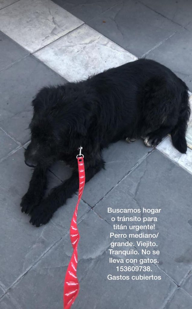 Pdro (@pedromarchese1) on Twitter photo 