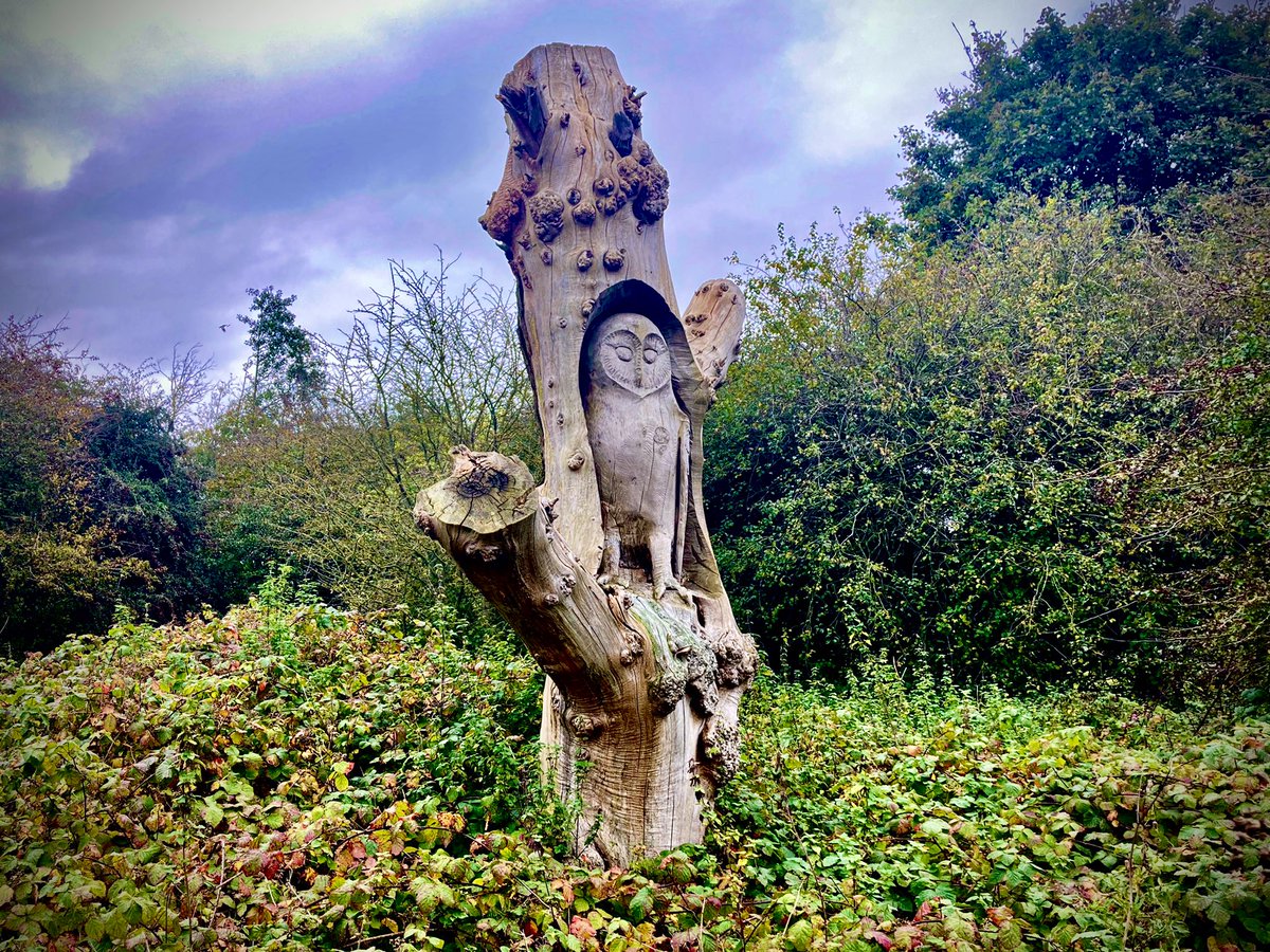 amandaharper01's tweet image. Spotted in #Spofforth. Late news and weather coming up 22.25 @BBCLookNorth #nightowls 🦉