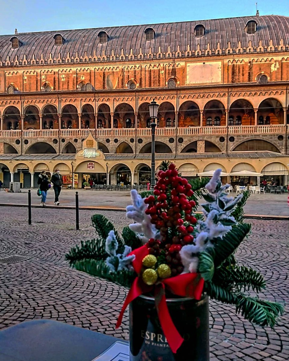 Christmas card from Padova 🎄🎀✨
#bettinainpadova #padova #padua #Italy #Italia #Veneto #palazzodellaragione #christmas #christmasdecorations #christmasiscoming #travel #travelphotography #travelblog #travelitaly #traveladdict #traveller #ilikeitaly #inspiration #PictureOfTheDay