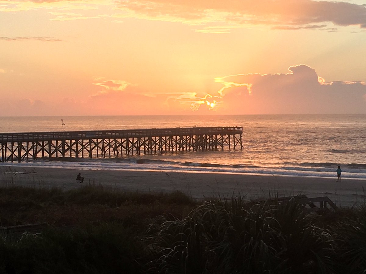 Steve Malme tweet media