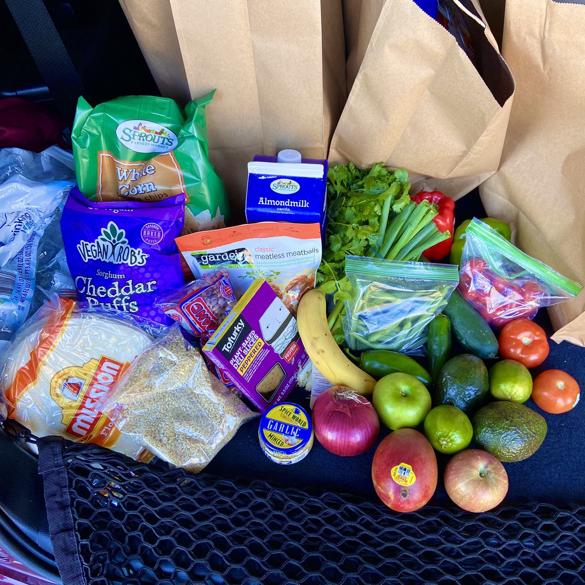 an example of how the two can collaborate: i have been working with  @veganoutreach to bring weekly produce & vegan items to food deserts for almost a year. others have been working with black organizations to do the same in LA. if more vegan organizations did this, it’d be major.