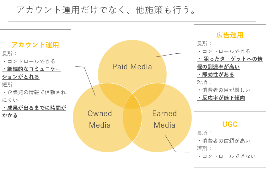 テスト Instagram情報 Twitter