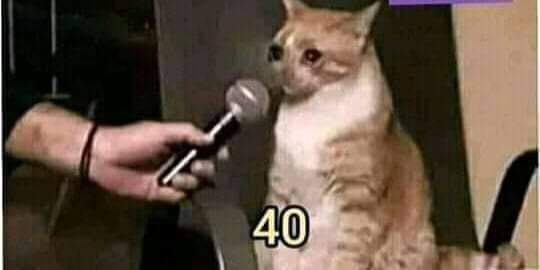 JackOEtbr's tweet photo. Professor: quanto é 20×10 ?
Eu: 30

Professor: parem de rir dele, respira e tenta de novo 
Eu: https://t.co/cpG6F4yWZn